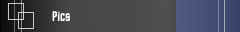 Pics 